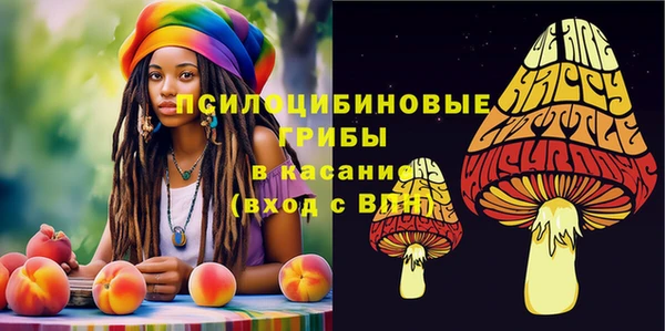 мескалин Осташков