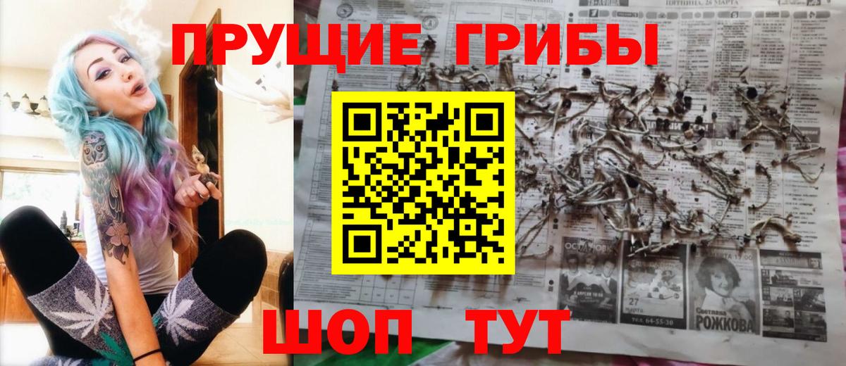 Галлюциногенные грибы Psilocybe  Галлюциногенные грибы прущие грибы  Сургут 