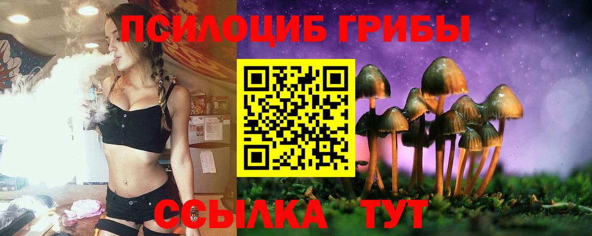 Сургут  Псилоцибиновые грибы Magic Shrooms  Вход с VPN 